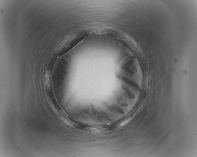 X0000081570121200702051224