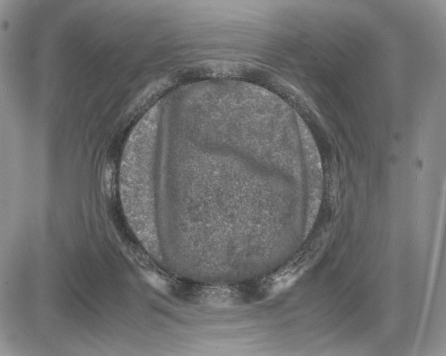 X0000081570123200702051224