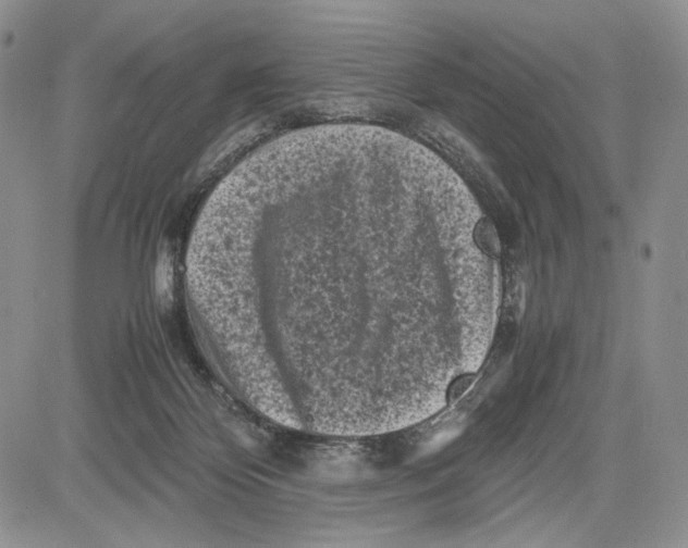 X0000081570124200702051224