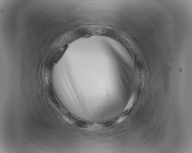 X0000081570125200702051224