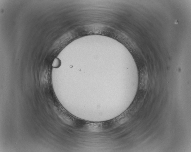 X0000081570126200702051224