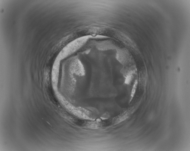 X0000081570127200702051224