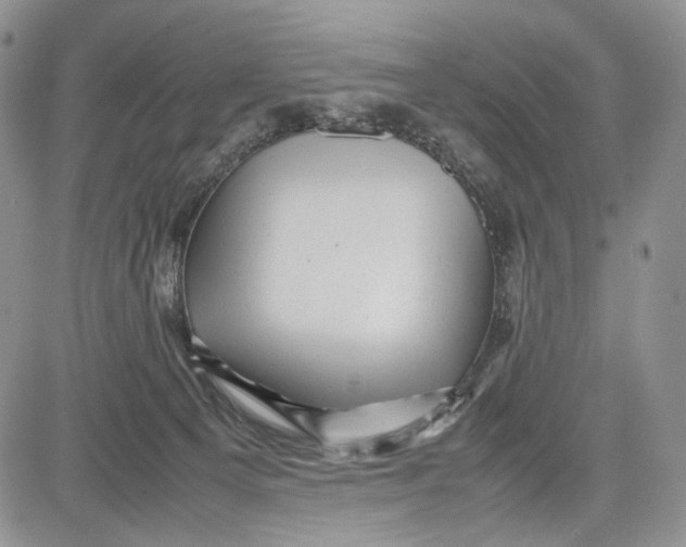 X0000081570129200702051224