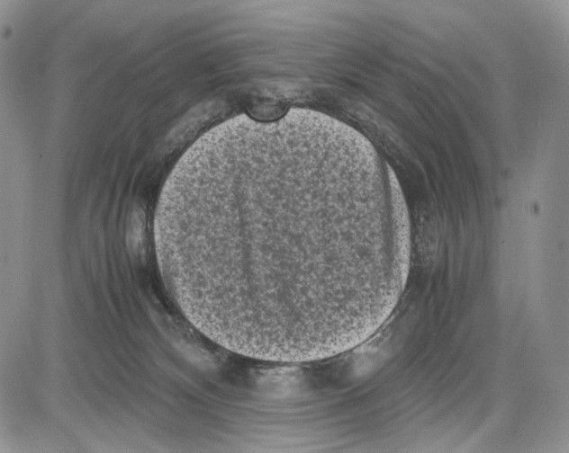 X0000081570132200702051224