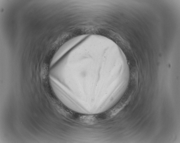 X0000081570133200702051224