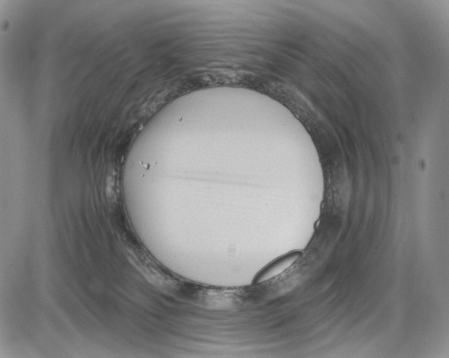 X0000081570134200702051224