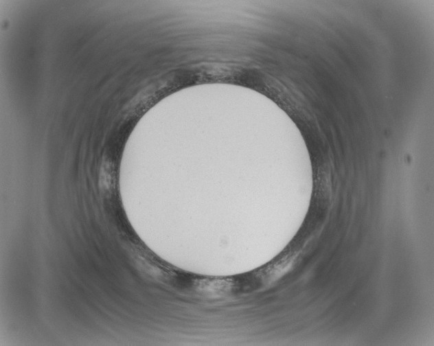 X0000081570135200702051224