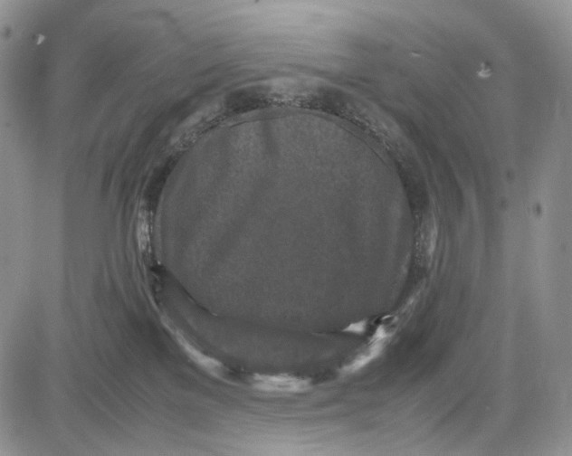 X0000081570137200702051223