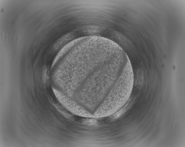 X0000081570140200702051223