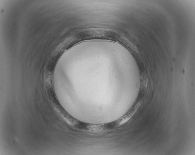 X0000081570141200702051223