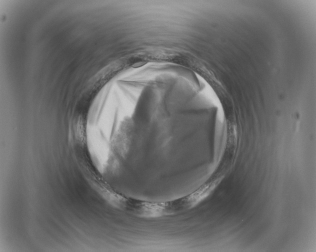 X0000081570143200702051223