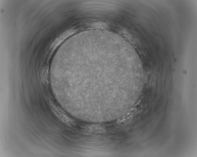 X0000081570146200702051223