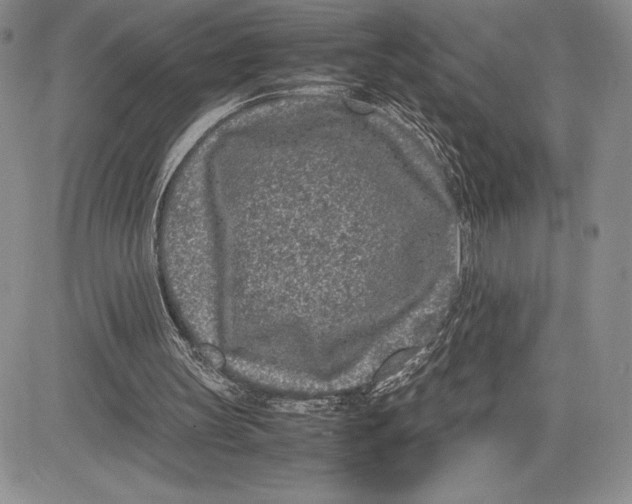 X0000081570147200702051223