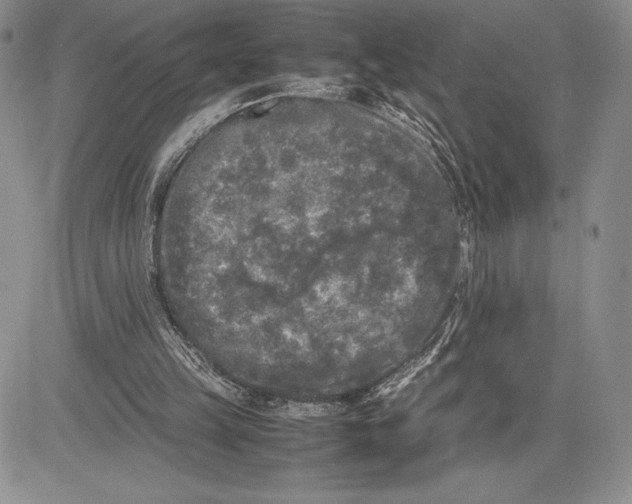 X0000081570149200702051223