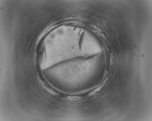 X0000081570150200702051223