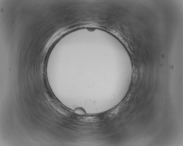 X0000081570151200702051223