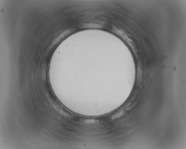 X0000081570153200702051223