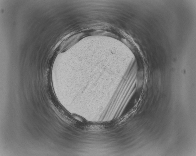 X0000081570154200702051223