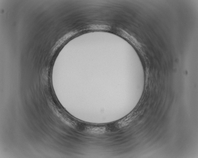 X0000081570155200702051223