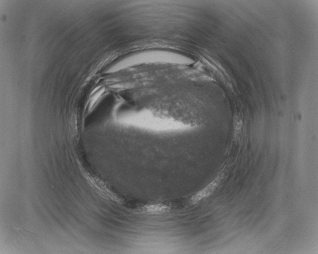 X0000081570158200702051223