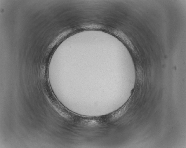 X0000081570159200702051223