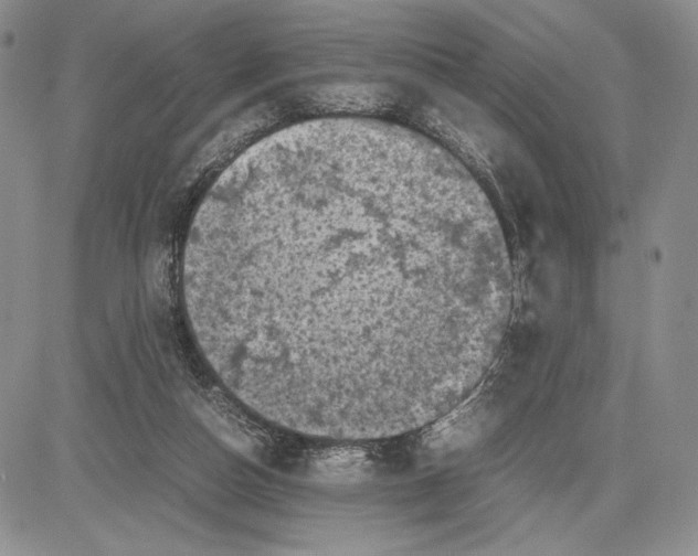 X0000081570162200702051223