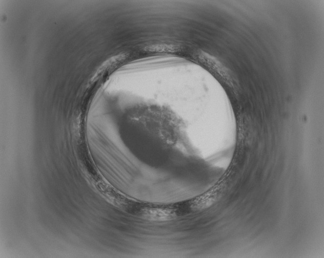 X0000081570163200702051223