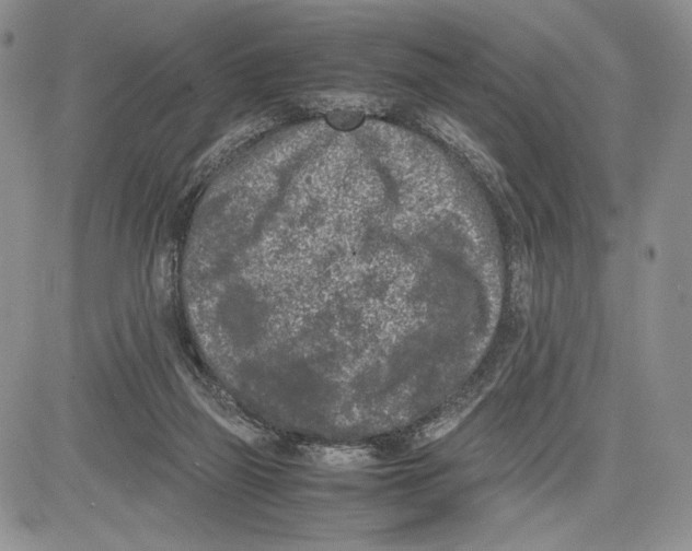 X0000081570165200702051223