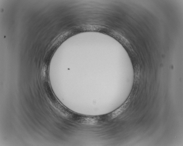 X0000081570166200702051223