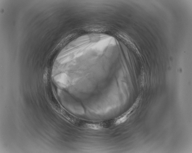 X0000081570167200702051223