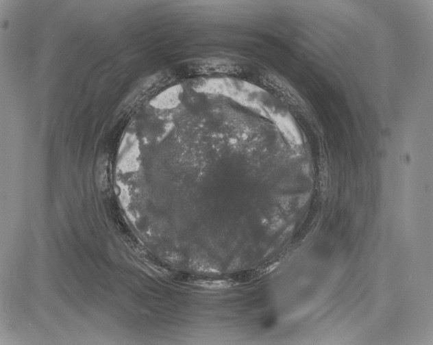 X0000081570169200702051223