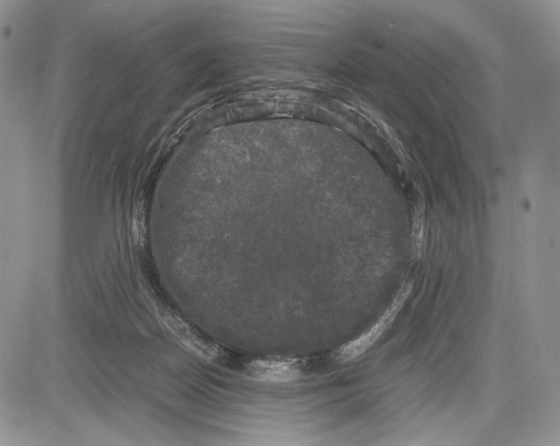 X0000081570170200702051223