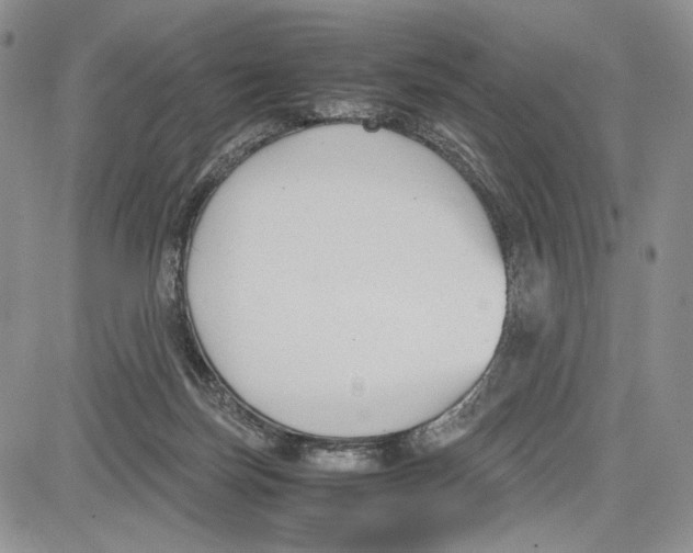 X0000081570171200702051223