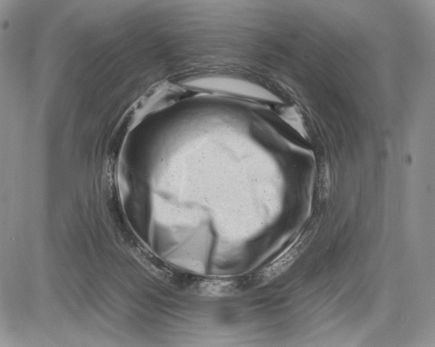 X0000081570172200702051223