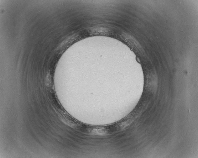 X0000081570173200702051223