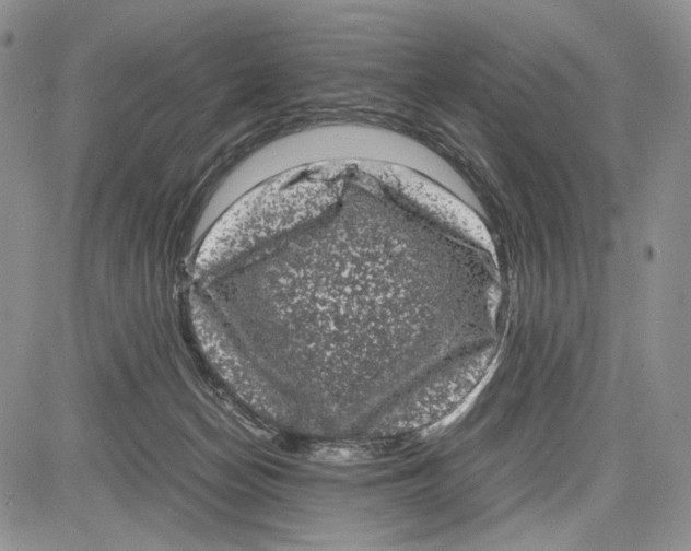 X0000081570174200702051223