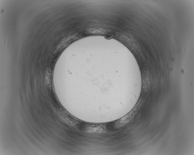 X0000081570175200702051223