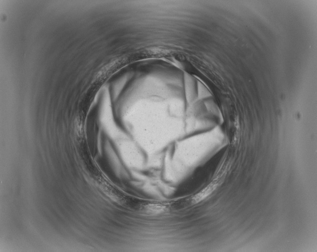 X0000081570176200702051223