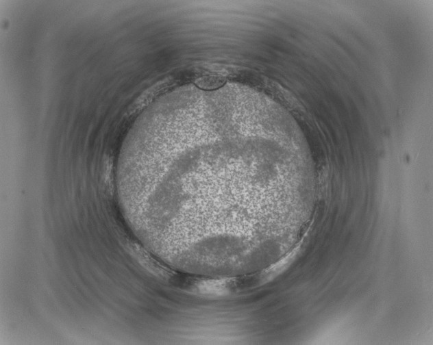 X0000081570178200702051223