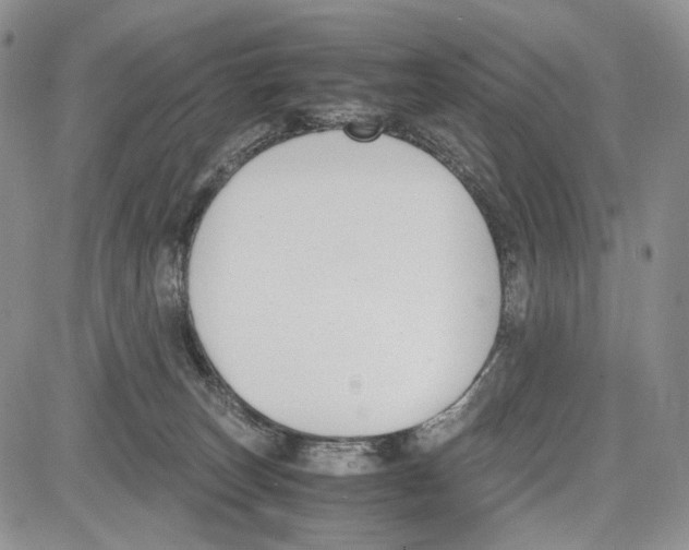 X0000081570179200702051223