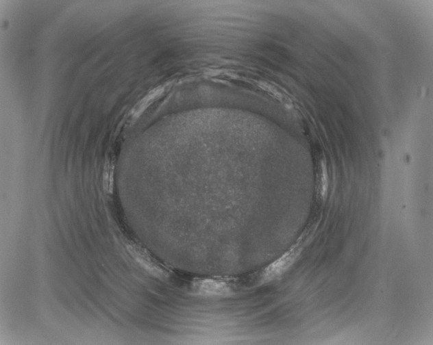 X0000081570180200702051223