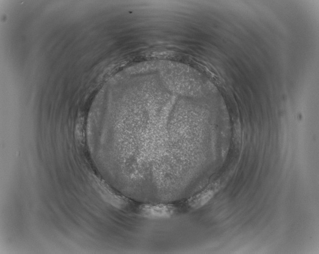 X0000081570181200702051223