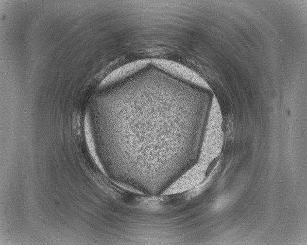 X0000081570182200702051223