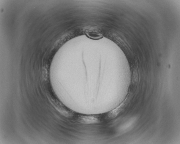 X0000081570183200702051223