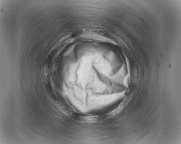 X0000081570184200702051223