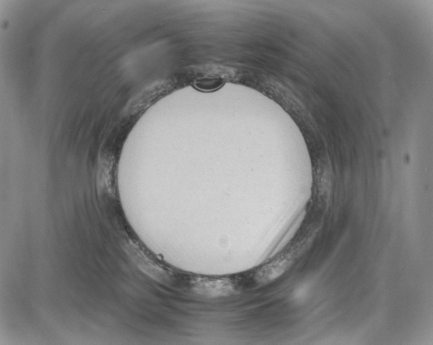 X0000081570185200702051223