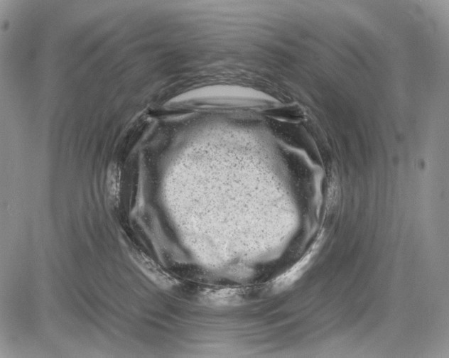 X0000081570186200702051223