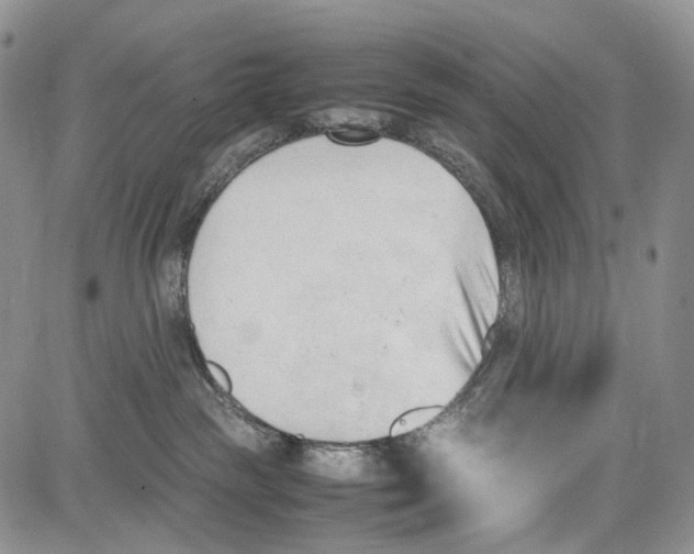 X0000081570189200702051223