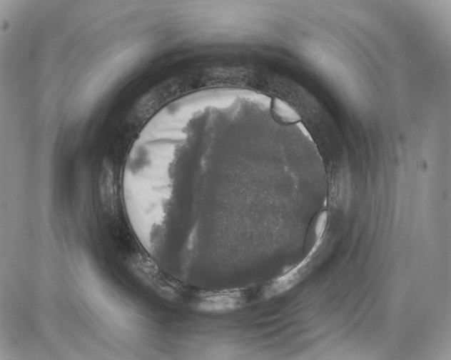 X0000081570191200702051223