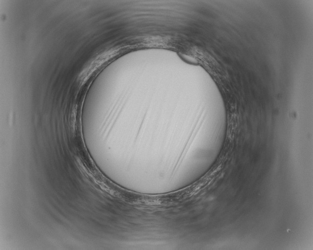 X0000081570194200702051223